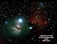 Horsehead