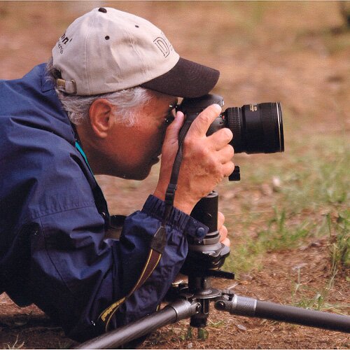 Al Photographer